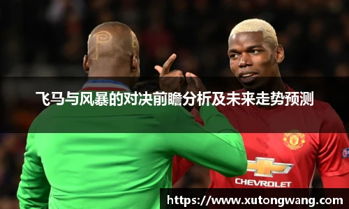 飞马与风暴的对决前瞻分析及未来走势预测
